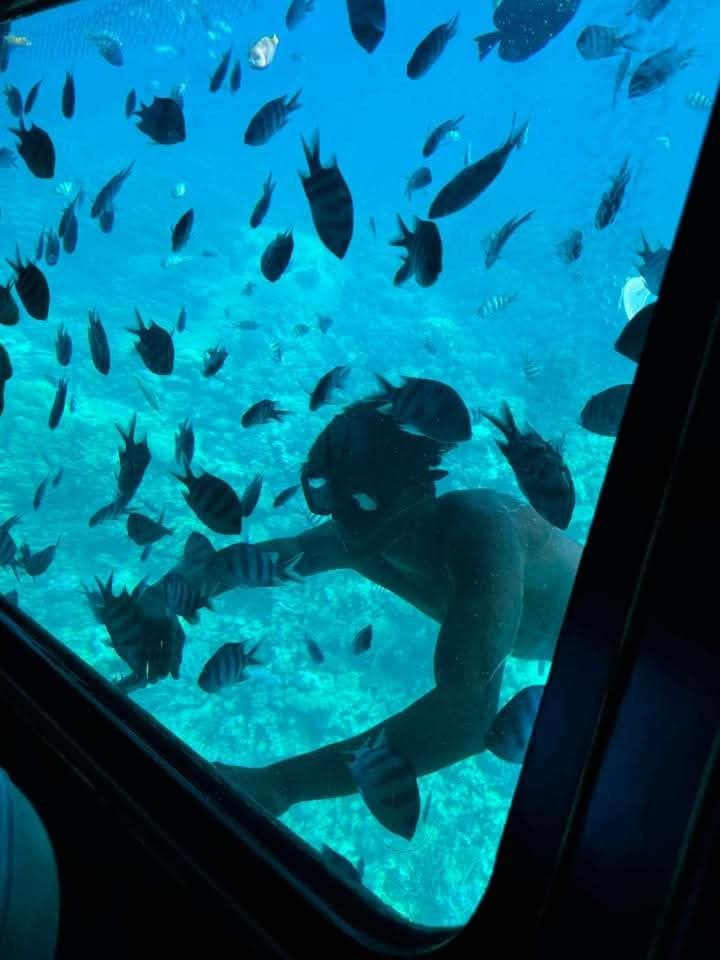 IMG_20250624_180038_266